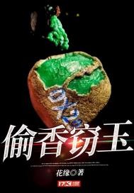 偷香窃玉封面