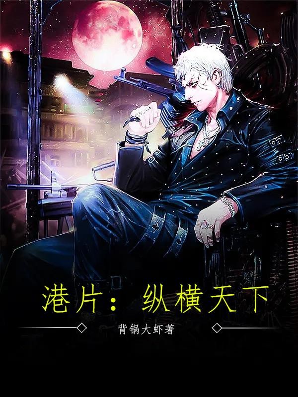 港片:纵横天下封面