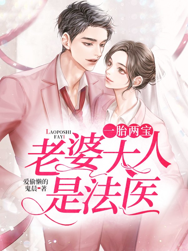 一胎两宝:老婆大人是法医封面