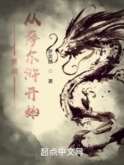 挽明从萨尔浒开始封面