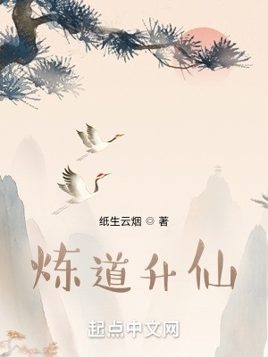 炼道升仙封面