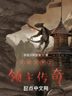 穿越异界之领主传奇封面