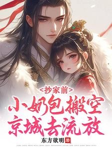 抄家前,小奶包搬空京城去流放封面
