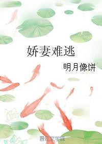 娇妻难逃封面