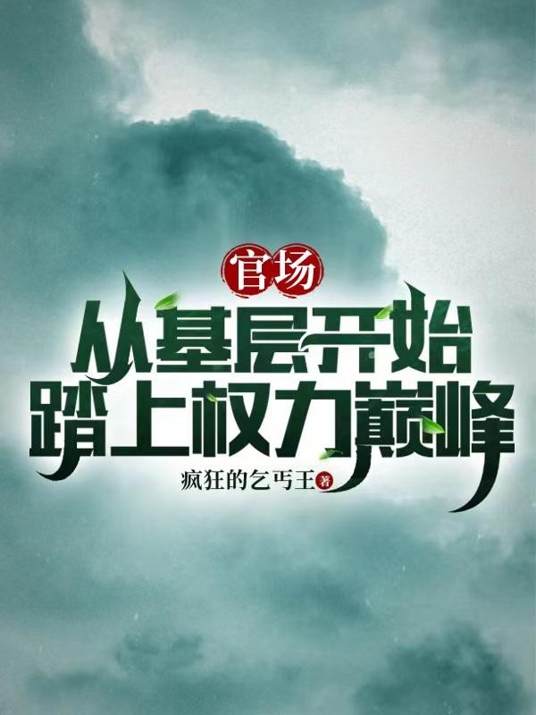 官场:从基层开始踏上权力巅峰封面