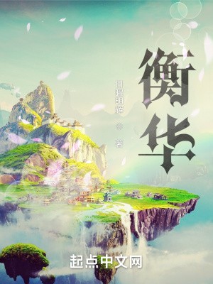 衡华封面