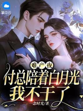 难产夜,付总陪着白月光,我不干了封面