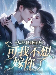 从校服到婚纱,可我不想嫁你了封面