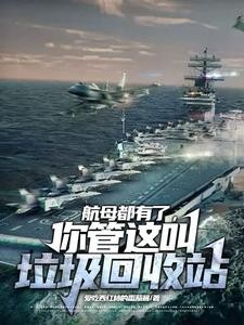 航母都有了,你管这叫垃圾回收站封面