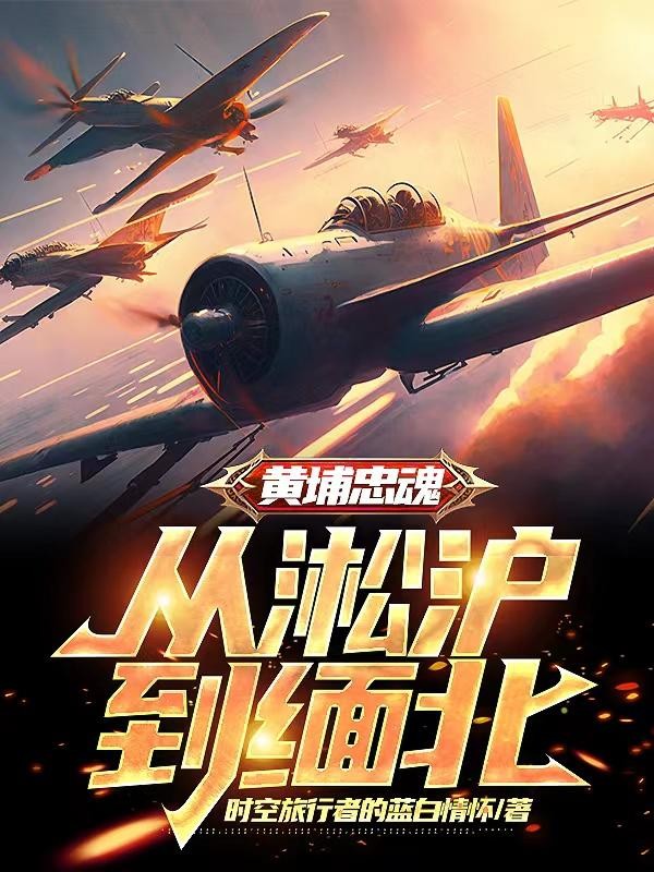 黄埔忠魂:从淞沪到缅北封面