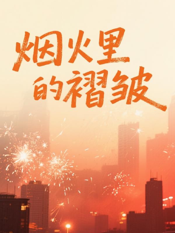 烟火里的褶皱封面
