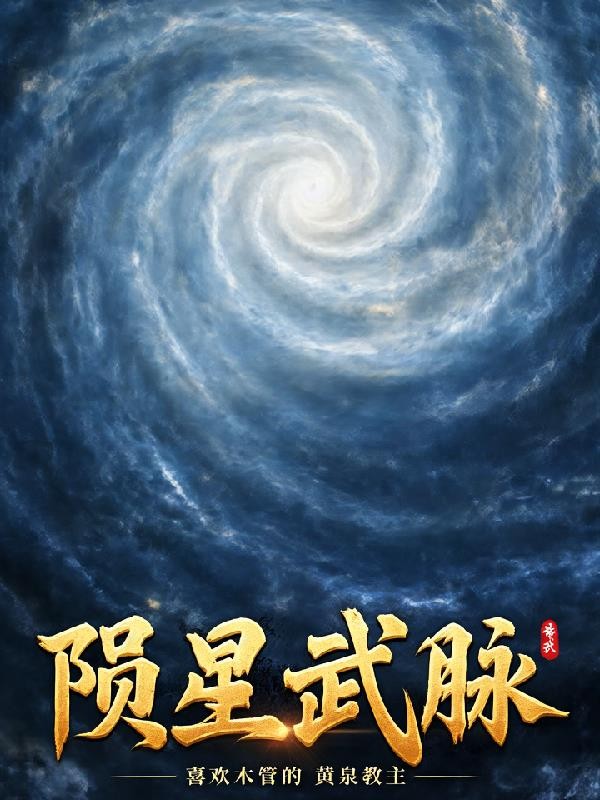 陨星武脉封面