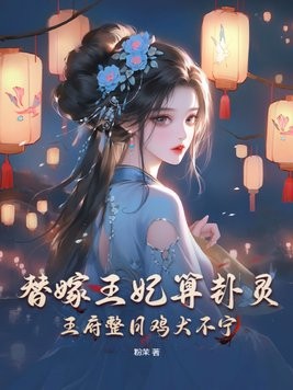 替嫁王妃算卦灵,王府整日鸡犬不宁封面