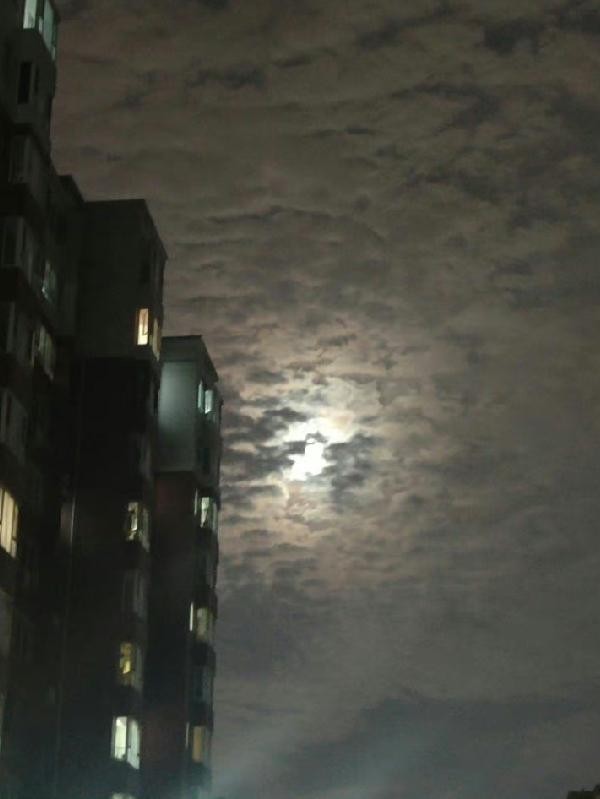 末世重生之全家低调苟着封面