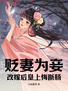 贬妻为妾,改嫁后皇上悔断肠封面