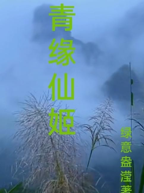 穿越异世福女修仙记3封面