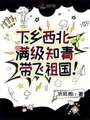 下乡西北,满级知青带飞祖国!封面