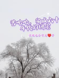 苦哈哈,穿成六十年代的团宠封面