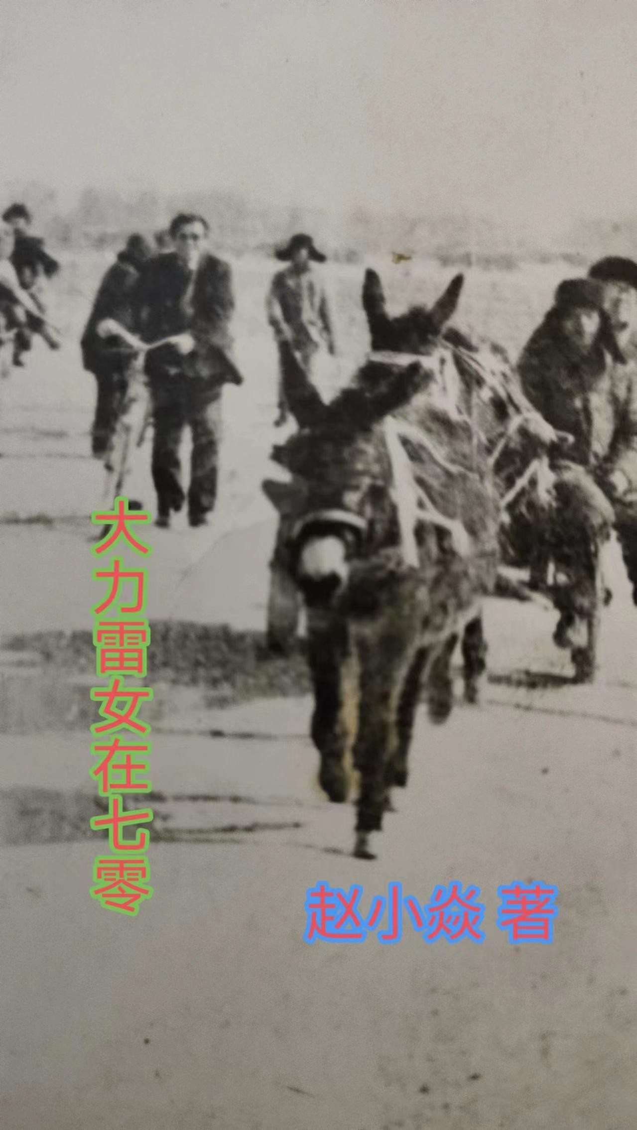 大力雷女在七零封面