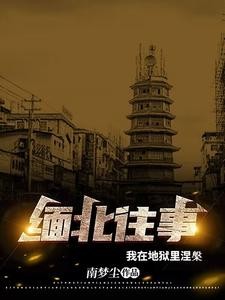 我被骗入缅北那三年封面