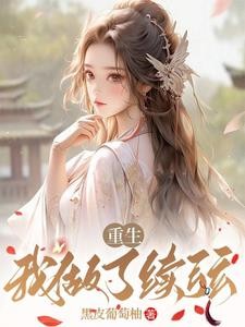 续弦!封面