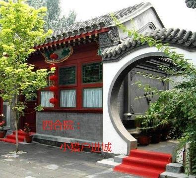 四合院:小猎户进城封面