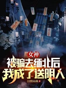 女神被骗去缅北后,我成了送阴人封面