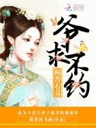 福晋有喜:爷,求不约封面