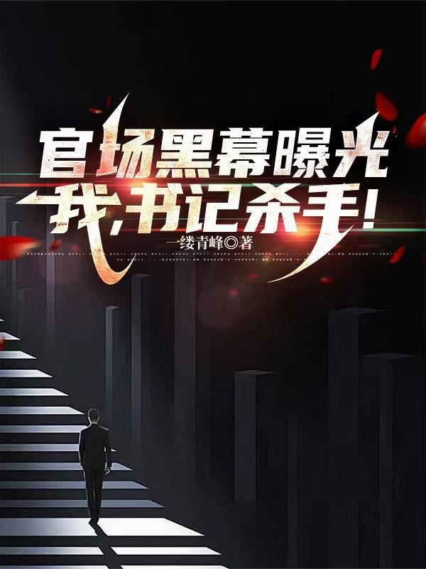 官场黑幕曝光,我,书记杀手封面