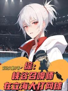 穿越柯学,我拉网王王子进酒厂封面
