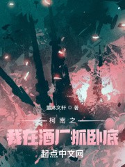 柯南之我在酒厂抓卧底封面