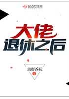 大佬退休之后封面
