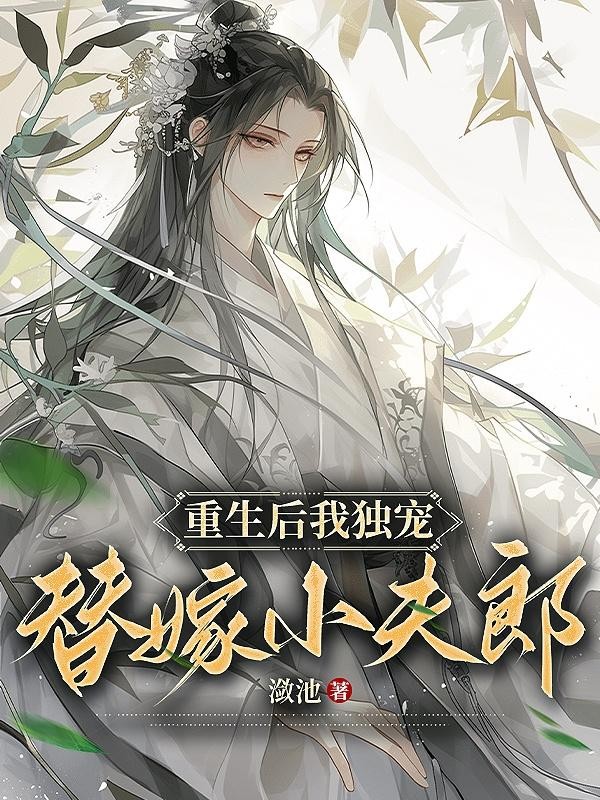 重生后,我独宠替嫁小夫郎封面