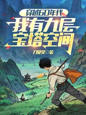穿越60年代,我有九层宝塔空间封面