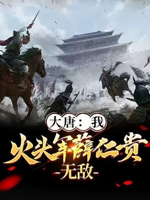 大唐:我,火头军薛仁贵,无敌封面