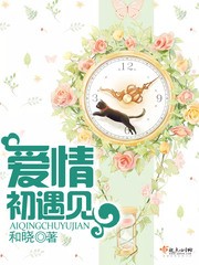 爱情初遇见封面