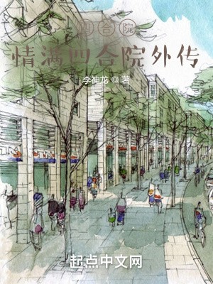 四合院:情满四合院外传封面