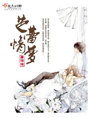 芭蕾情梦封面