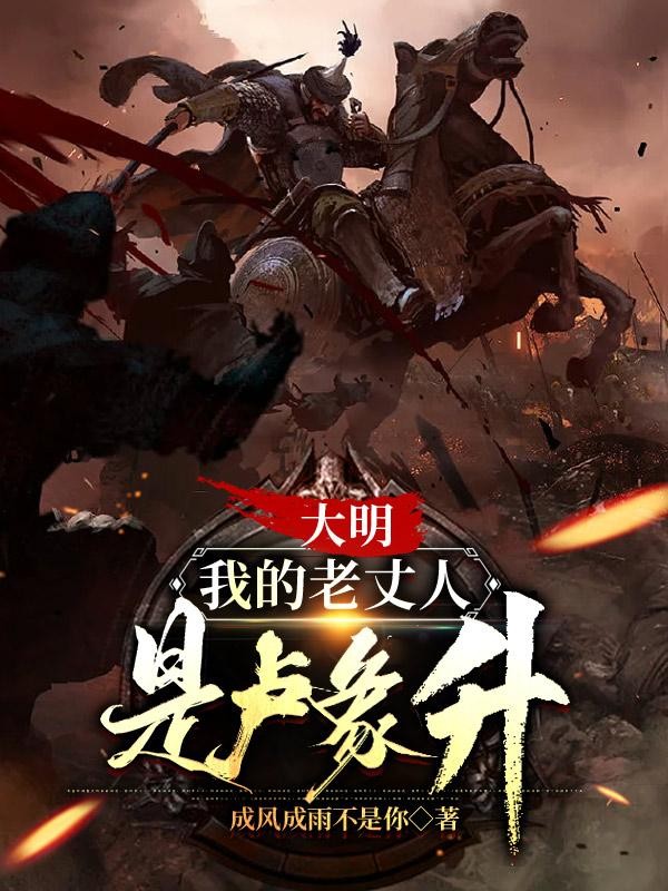 大明,我的老丈人是卢象升封面