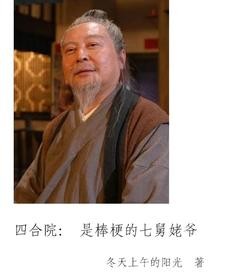 四合院:贾张氏的快乐生活封面