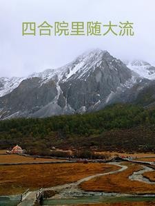 四合院里随大流封面
