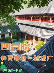 四合院：和贾东旭一起进厂封面
