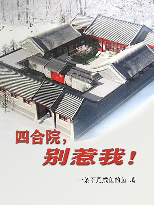 四合院,别惹我封面