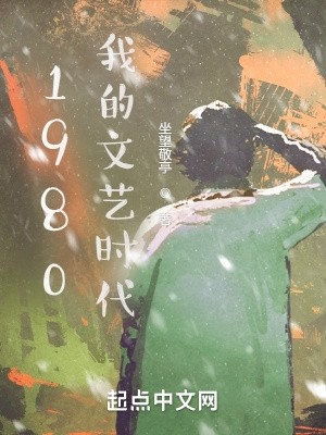 1980我的文艺时代封面