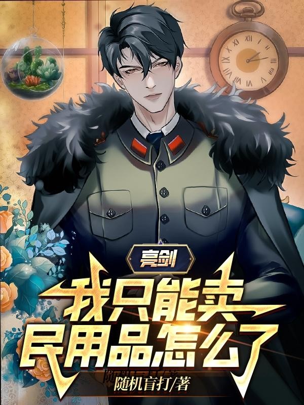 亮剑:我只能卖民用品怎么了?封面