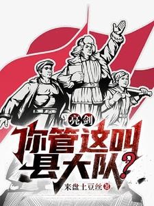 亮剑：你管这叫县大队？封面