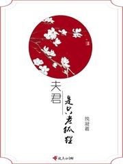 夫君是只老狐狸封面