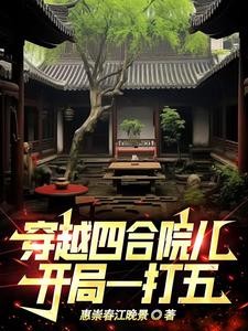 穿越四合院儿,开局一打五封面