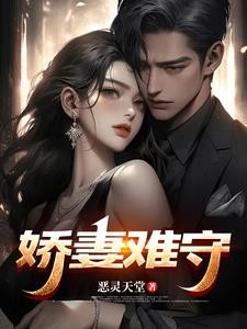 娇妻难守封面