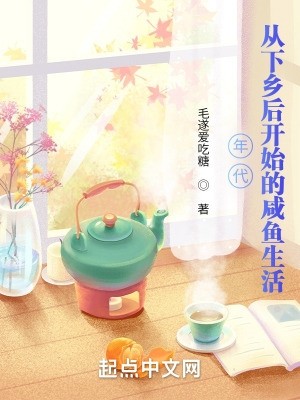 年代:从下乡后开始的咸鱼生活封面